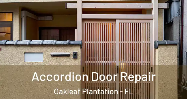 Accordion Door Repair Oakleaf Plantation - FL