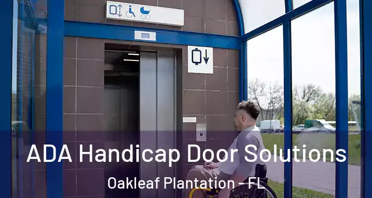 ADA Handicap Door Solutions Oakleaf Plantation - FL