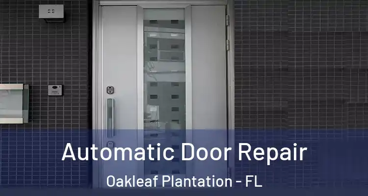 Automatic Door Repair Oakleaf Plantation - FL