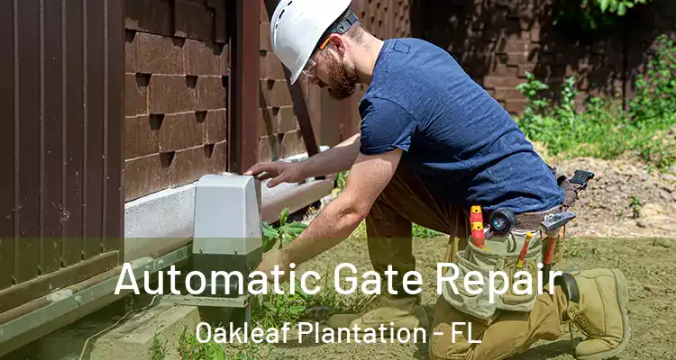 Automatic Gate Repair Oakleaf Plantation - FL