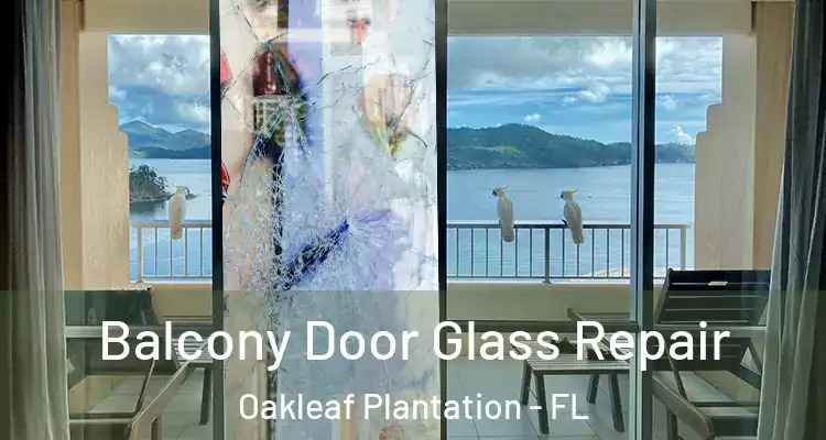 Balcony Door Glass Repair Oakleaf Plantation - FL