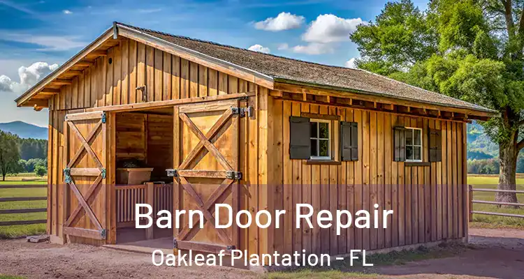 Barn Door Repair Oakleaf Plantation - FL