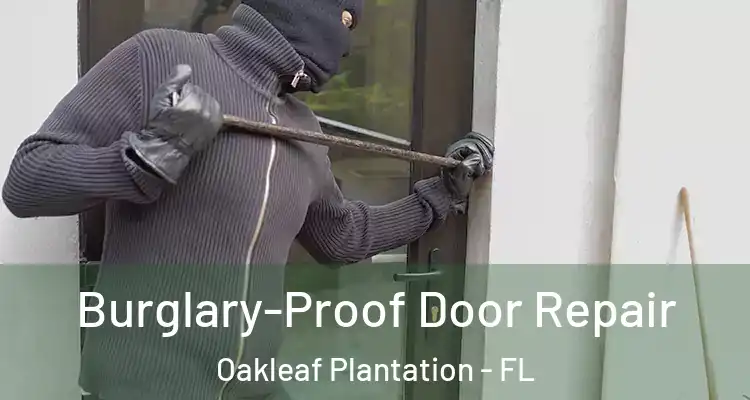 Burglary-Proof Door Repair Oakleaf Plantation - FL
