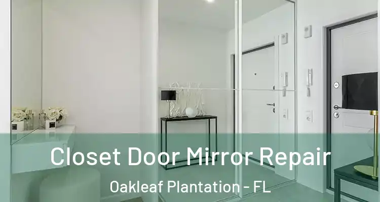 Closet Door Mirror Repair Oakleaf Plantation - FL