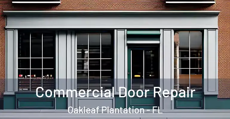 Commercial Door Repair Oakleaf Plantation - FL