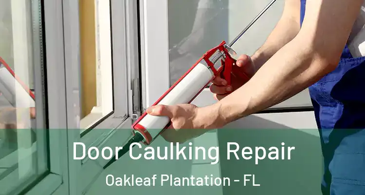 Door Caulking Repair Oakleaf Plantation - FL