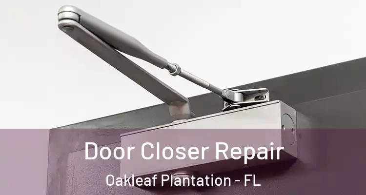 Door Closer Repair Oakleaf Plantation - FL