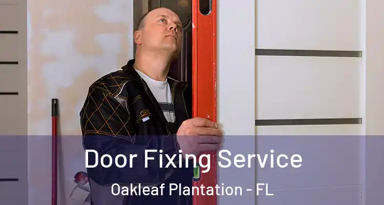 Door Fixing Service Oakleaf Plantation - FL