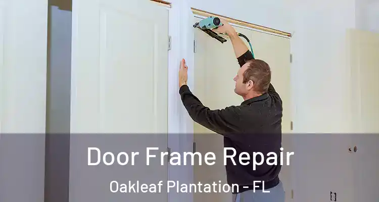 Door Frame Repair Oakleaf Plantation - FL