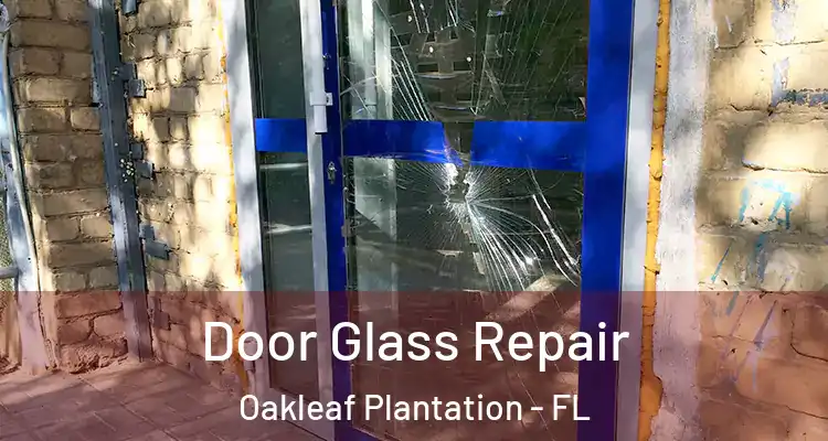 Door Glass Repair Oakleaf Plantation - FL