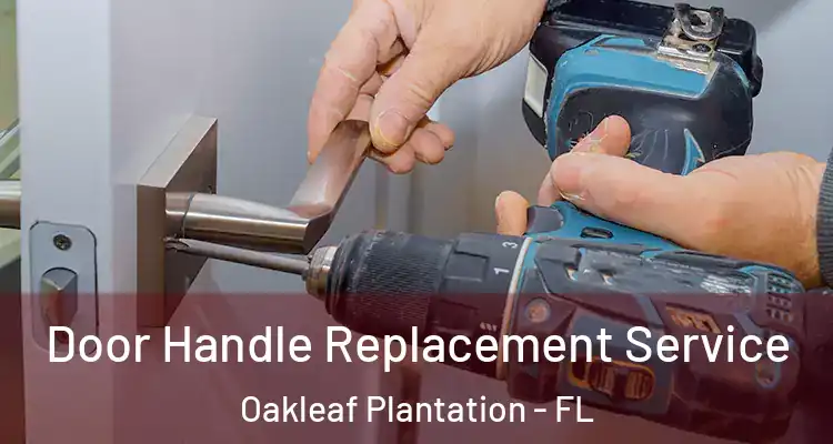 Door Handle Replacement Service Oakleaf Plantation - FL