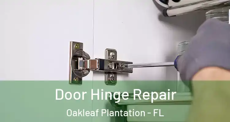 Door Hinge Repair Oakleaf Plantation - FL
