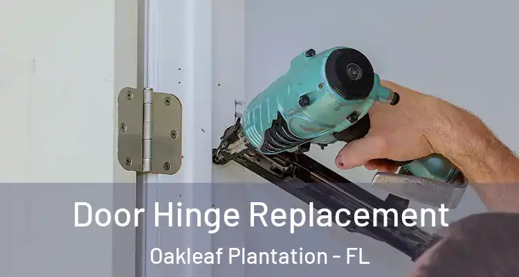 Door Hinge Replacement Oakleaf Plantation - FL