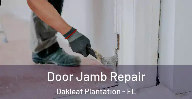 Door Jamb Repair Oakleaf Plantation - FL
