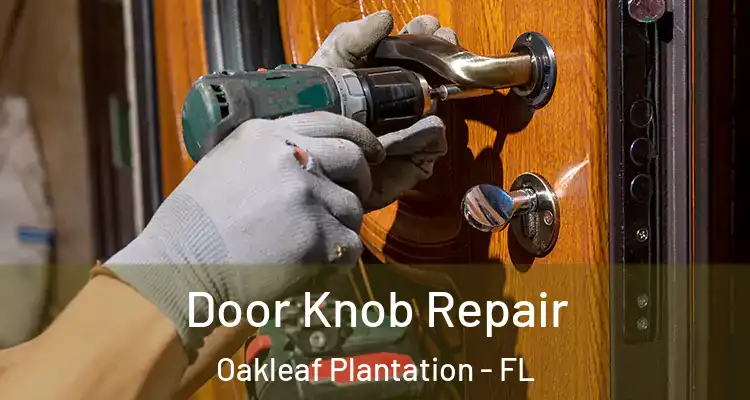Door Knob Repair Oakleaf Plantation - FL