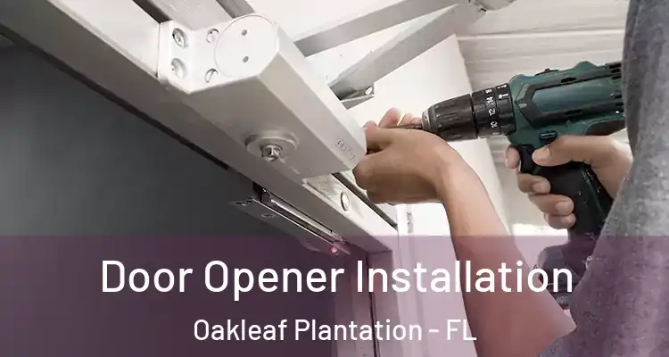 Door Opener Installation Oakleaf Plantation - FL