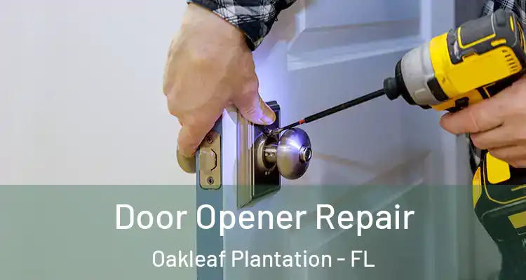 Door Opener Repair Oakleaf Plantation - FL