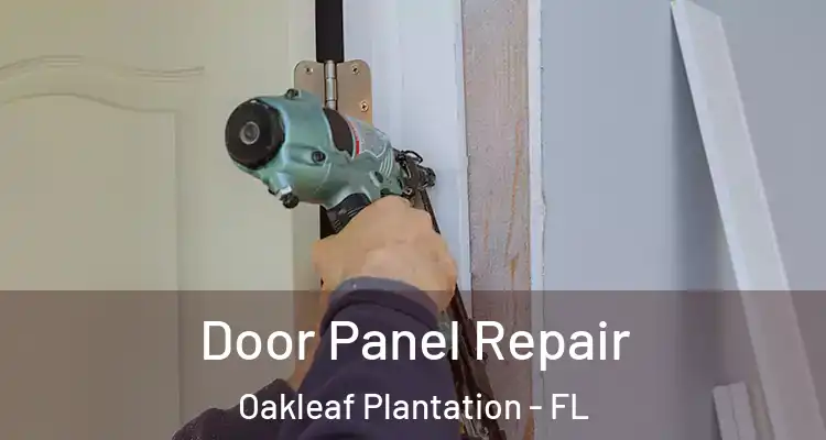 Door Panel Repair Oakleaf Plantation - FL