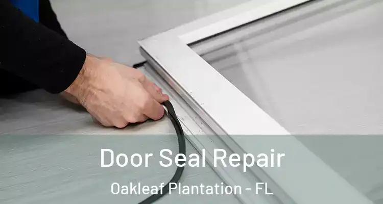 Door Seal Repair Oakleaf Plantation - FL