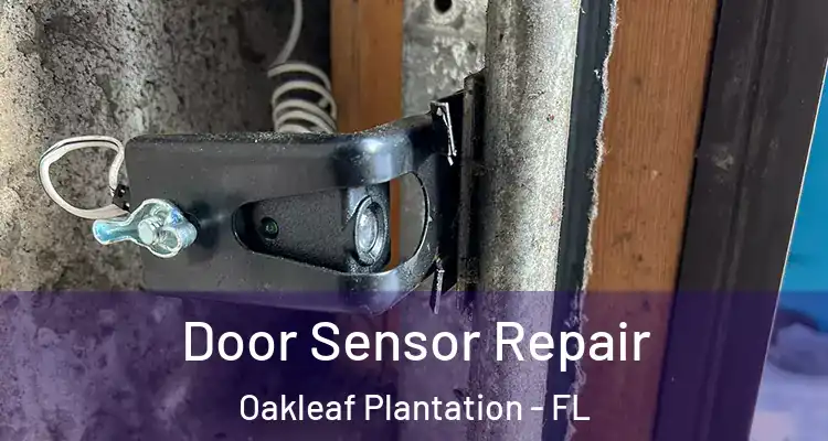Door Sensor Repair Oakleaf Plantation - FL
