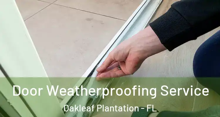 Door Weatherproofing Service Oakleaf Plantation - FL