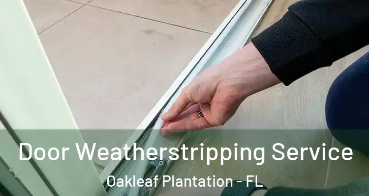 Door Weatherstripping Service Oakleaf Plantation - FL