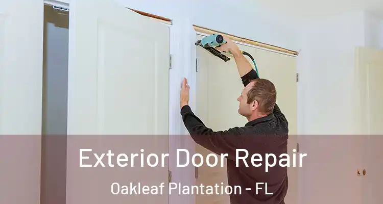 Exterior Door Repair Oakleaf Plantation - FL