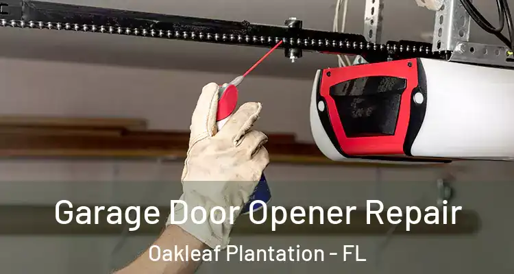 Garage Door Opener Repair Oakleaf Plantation - FL
