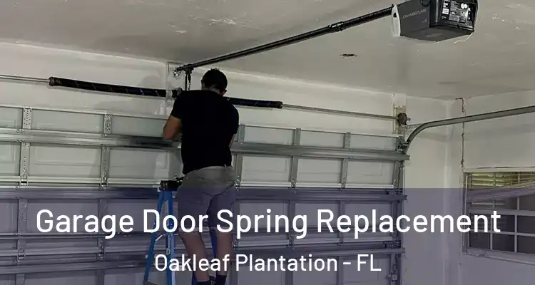 Garage Door Spring Replacement Oakleaf Plantation - FL