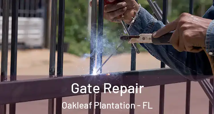 Gate Repair Oakleaf Plantation - FL