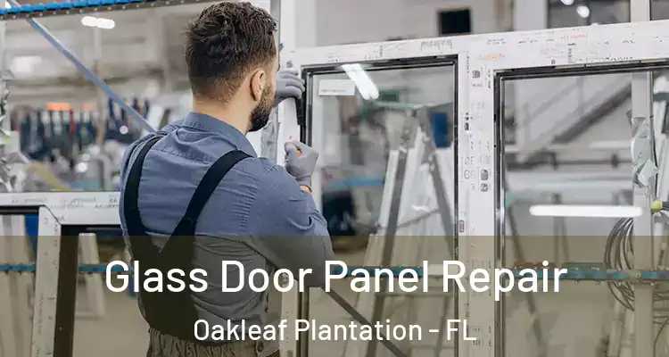 Glass Door Panel Repair Oakleaf Plantation - FL