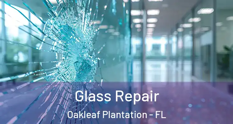 Glass Repair Oakleaf Plantation - FL