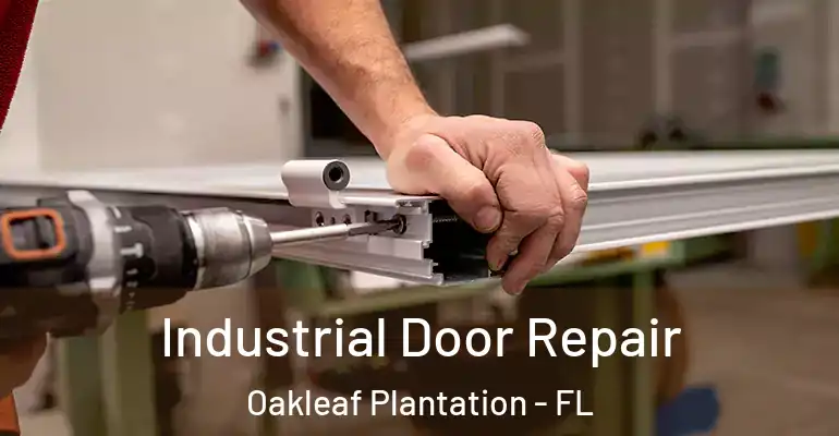Industrial Door Repair Oakleaf Plantation - FL