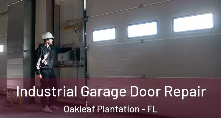 Industrial Garage Door Repair Oakleaf Plantation - FL
