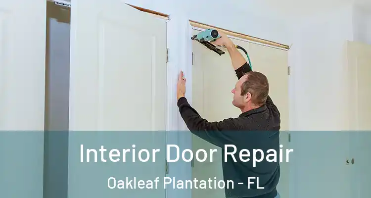 Interior Door Repair Oakleaf Plantation - FL