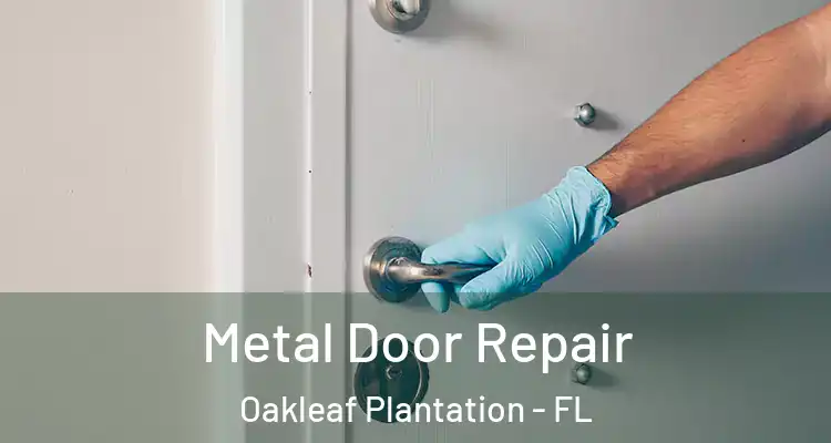 Metal Door Repair Oakleaf Plantation - FL