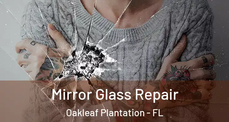 Mirror Glass Repair Oakleaf Plantation - FL