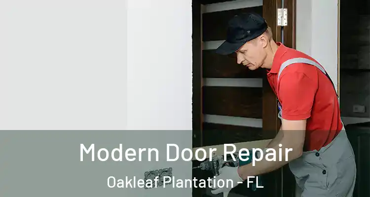 Modern Door Repair Oakleaf Plantation - FL