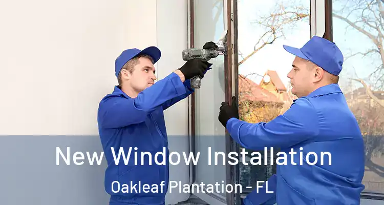 New Window Installation Oakleaf Plantation - FL
