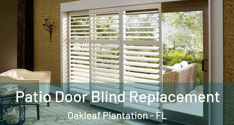 Patio Door Blind Replacement Oakleaf Plantation - FL
