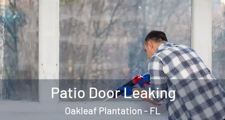 Patio Door Leaking Oakleaf Plantation - FL