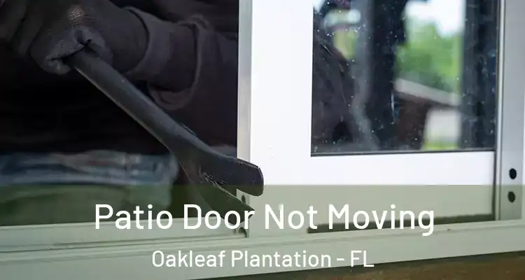 Patio Door Not Moving Oakleaf Plantation - FL