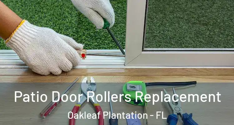 Patio Door Rollers Replacement Oakleaf Plantation - FL