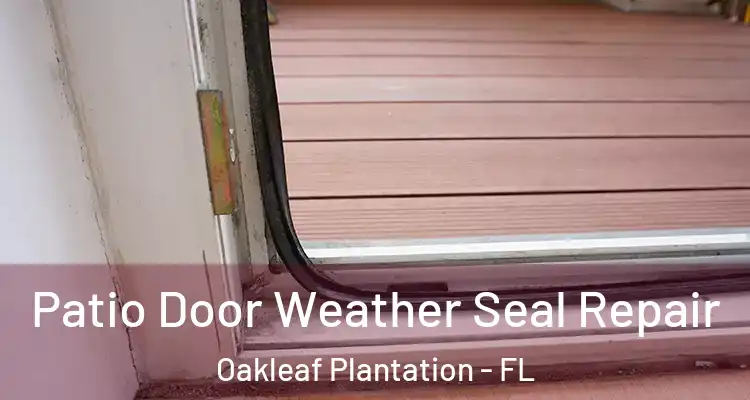 Patio Door Weather Seal Repair Oakleaf Plantation - FL