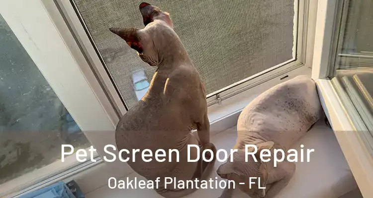 Pet Screen Door Repair Oakleaf Plantation - FL