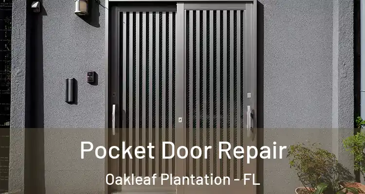 Pocket Door Repair Oakleaf Plantation - FL