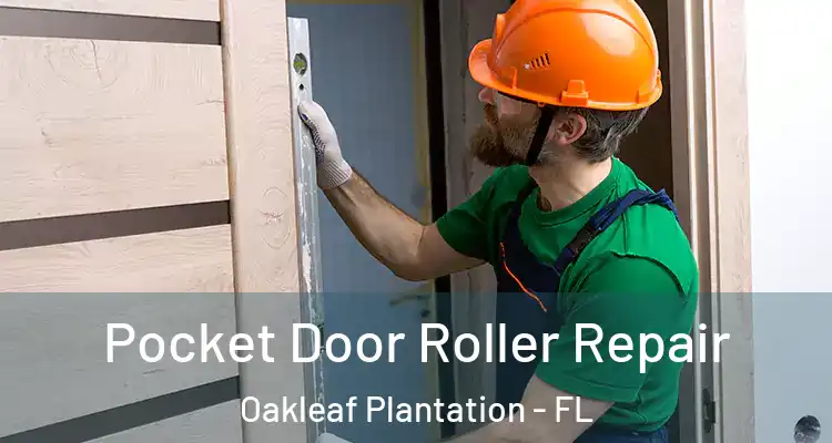 Pocket Door Roller Repair Oakleaf Plantation - FL