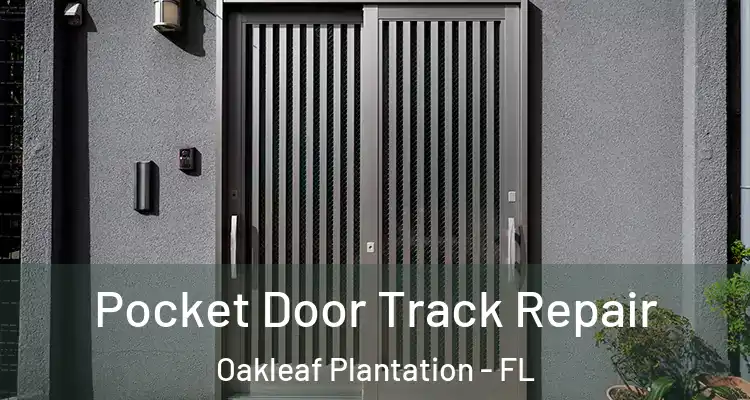 Pocket Door Track Repair Oakleaf Plantation - FL