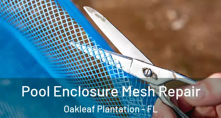 Pool Enclosure Mesh Repair Oakleaf Plantation - FL