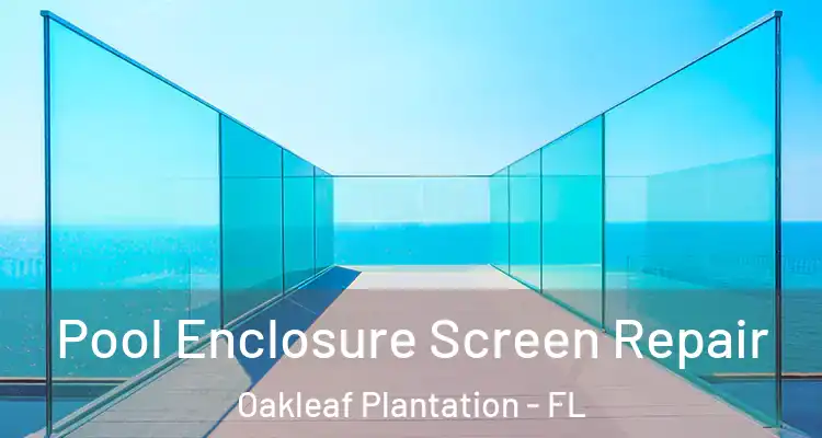 Pool Enclosure Screen Repair Oakleaf Plantation - FL